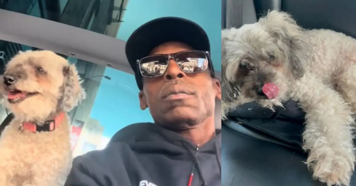 The Long Road Home: How One Man’s Refusal to Give Up Brought His Dog Back After 10 Years